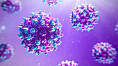 Adeno-associated virus, illustration