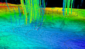 Methane plumes in Norfolk Canyon, Atlantic Ocean, multibeam sonar map