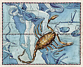 Constellation of Scorpius, illustration