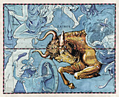 Constellation of Taurus, illustration