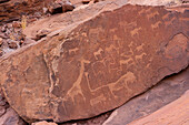 Rock carvings, Twyfelfontein, Namibia