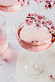 Cherry blossom aperitif