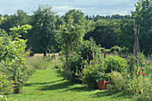 Landschaftlicher Gartenpfad mit üppigem Grün