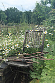 Verwitterter Holzstuhl von Margeriten umgeben