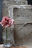 Pink rose in glass vase in front of historical books