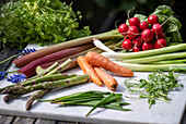 Fresh vegetables: carrots, radishes, asparagus and rhubarb