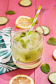 Lemon and cucumber drink with mint ice cubes