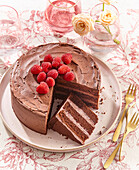 Chocolate cream cake with raspberries