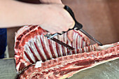 Carving lamb with a saw, trimming ribs