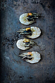 Baltic prawns