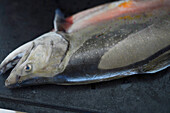 Arctic char