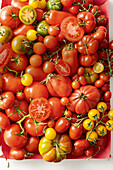 Verschiedene Tomatensorten