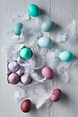 Colourful Easter eggs with white feathers on a wooden background