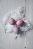 Colourful Easter eggs on white feathers