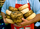 Man hält verschiedene Sorten Pecorino-Käse