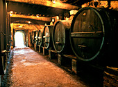 Red wine barrels in the wine cellar