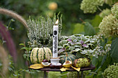 Table decorated in autumn with chestnuts, ornamental pumpkins, heather and a candle