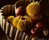 Chestnuts in prickly shell and without