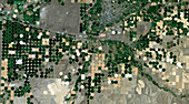 Crop circles in Oregon, USA, satellite image