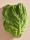 Pointed cabbage