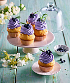 Blaubeer-Lavendel-Cupcakes