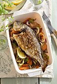 Sea bream with vegetables and herbs from the oven