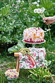 Rhubarb tart with meringue topping