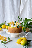 Lemon cheesecake