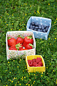 Berries in bowls made from homemade oilcloth in a meadow