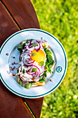 Homemade waffles with fried egg, herbs and red onions