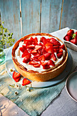 Austrian curd cheese strawberry cake