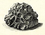 Iron meteorite fragment, illustration