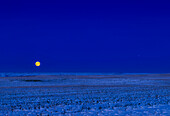 Rising Moon with Jupiter near opposition