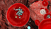 Erythrocytes with plastic microparticles, illustration