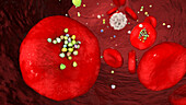 Erythrocytes with plastic microparticles, illustration