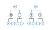 Nondisjunction in meiosis, illustration