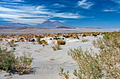 Atacama Desert, Chile