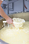 Close up of a man's hand sifting cheese