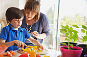 Mother and Son Cutting Vegetables in Kitchen