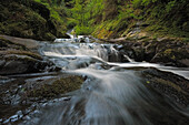 Wasserfälle am Sweet Creek in den Coast Range Bergen von Oregon.