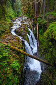 Sol Duc Falls im Olympic National Park, Washington, USA.