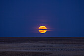 Der aufgehende Vollmond am 23. April 2024, wobei der April-Vollmond im Volksmund als rosa" Mond oder der Froschquakende Mond."