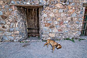 Puente de Ojuela , Historische Goldmine und Hängebrücke in Durango, Mexiko