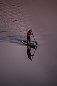 Standup paddleboarding at sunset in Ebro River, Zaragoza, Spain