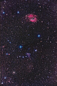 This is a portrait of a field in the "club" of Orion the Hunter, in northern Orion, that contains the emission nebula (at top) catalogued as Sharpless 2-262, or LBN 863, but known popularly as Lower's Nebula for its discovery in 1939 by the father and son team of Harold and Charles Lower. Below it just right of centre is the small, loose star cluster NGC 2169, with its stars arranged in a number 37 or XY pattern. It is sometimes called the Number 37 Cluster. At lower left is the rich star cluster NGC 2194. The small red nebula above NGC 2194 is Sharpless 2-269, with faint Sh2-267 above it. A r