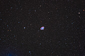 This is Messier 1, the first entry in Charles Messier's 18th century catalogue of deep-sky objects that were not to be mistaken for comets, his real quest. It is also NGC 1952, or the Crab Nebula, from the Earl of Rosse's 19th century description and naming. It is north of the lower horn of Taurus the Bull. This is a remnant cloud of debris expanding away from a supernova explosion that was witnessed in 1054 CE. All that's left of the progeniitor star now is a neutron star forming a spinning pulsar at the heart of the explosion debris. Some red H-alpha tendrils are obvious around the extremity