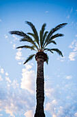 Peñiscola Beach at sunset, Castellon, Valencian Community, Spain