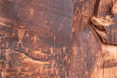 Prehistoric Fremont Culture petroglyphs depicting warriors, some with shields, on a sandstone wall near Moab, Utah.