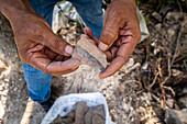 Überreste von Maya-Artefakten Guatemala