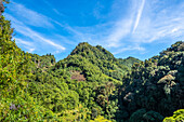 Kaffeeanbaugebiet in Huehuetenango in den Bergen